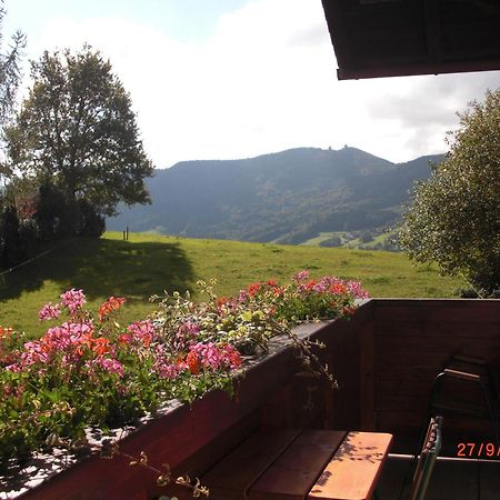 Pension Winter Zell am Moos Exterior photo