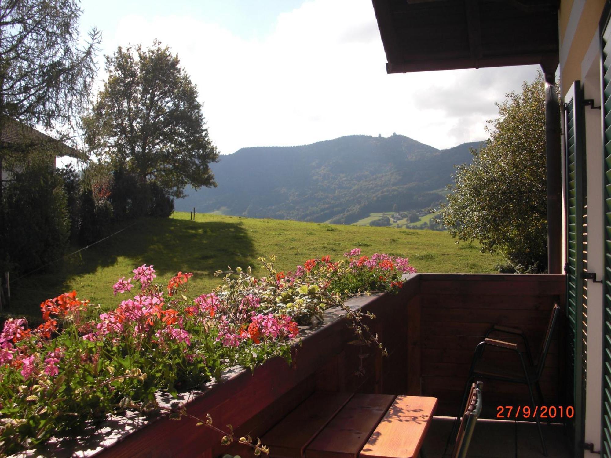 Pension Winter Zell am Moos Exterior photo